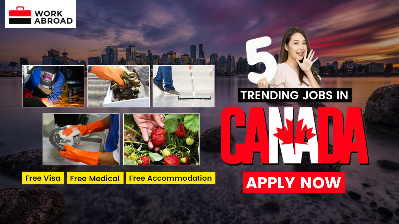Trending Jobs in Canada